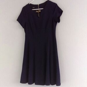 Navy Blue Professional Dress